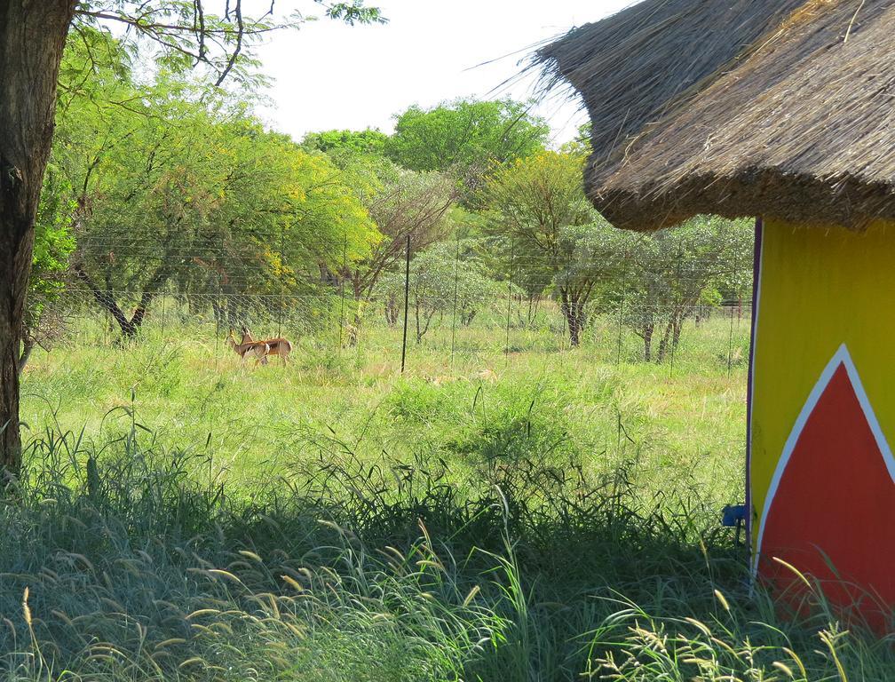 Lodge Huge Dassie Bela-Bela Exteriér fotografie