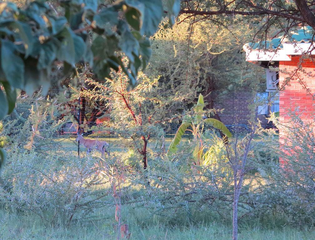 Lodge Huge Dassie Bela-Bela Exteriér fotografie